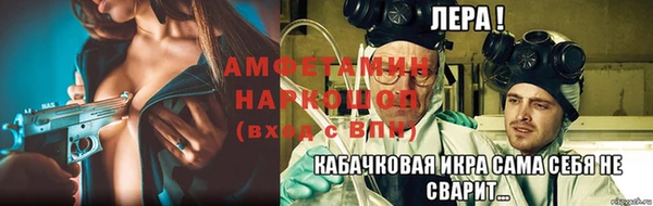 хмурый Аркадак