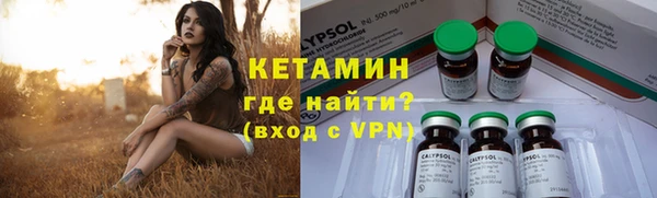 хмурый Аркадак