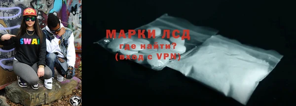 хмурый Аркадак
