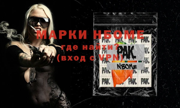 хмурый Аркадак