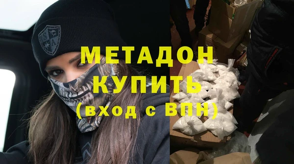 хмурый Аркадак