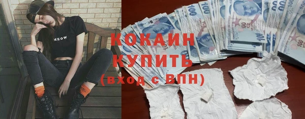 хмурый Аркадак