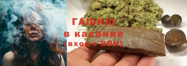 хмурый Аркадак